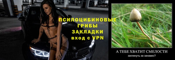 прущий лед Арсеньев