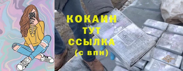 прущий лед Арсеньев