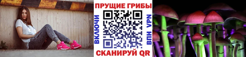 Псилоцибиновые грибы прущие грибы  купить закладку  Россошь 